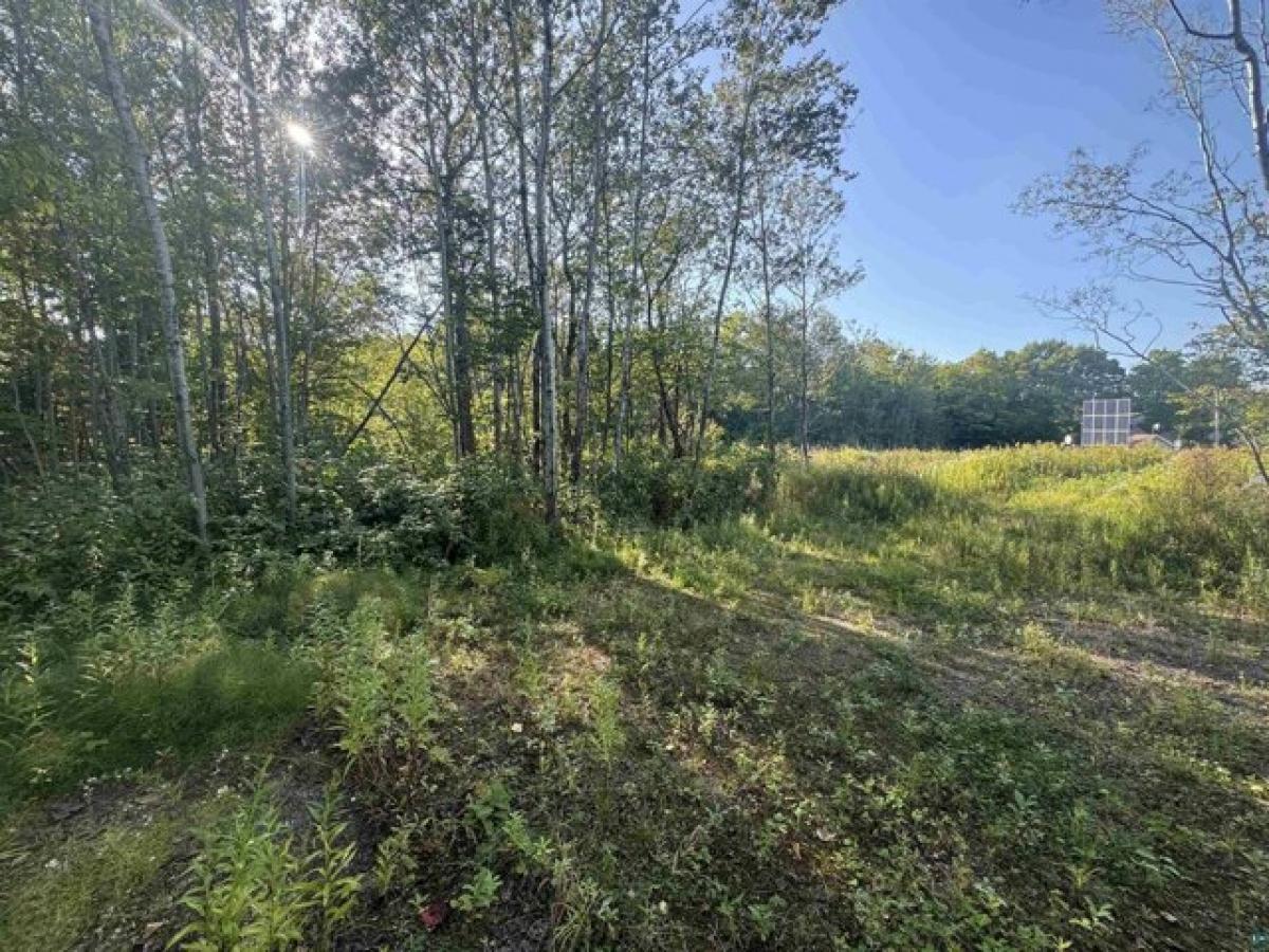 Picture of Residential Land For Sale in Bayfield, Wisconsin, United States