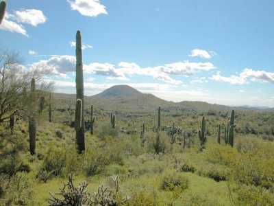 Residential Land For Sale in Peoria, Arizona