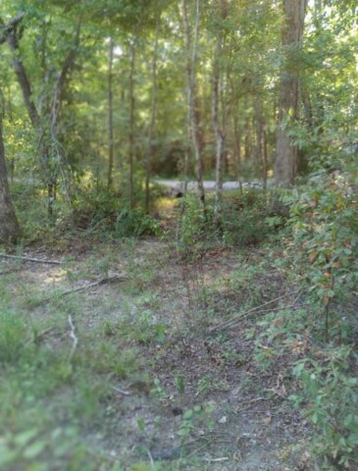 Picture of Residential Land For Sale in Beechgrove, Tennessee, United States