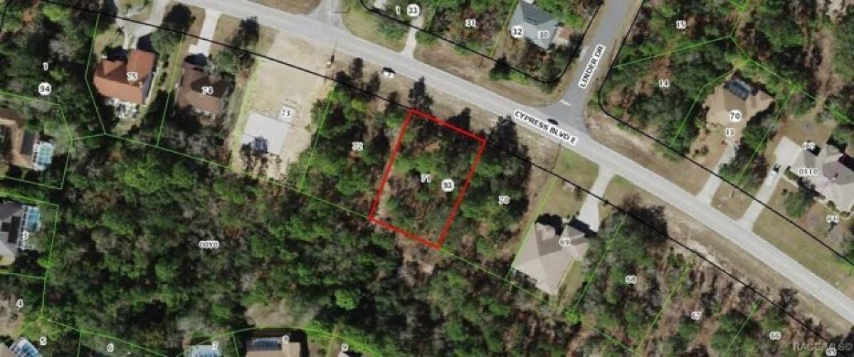 Picture of Residential Land For Sale in Homosassa, Florida, United States