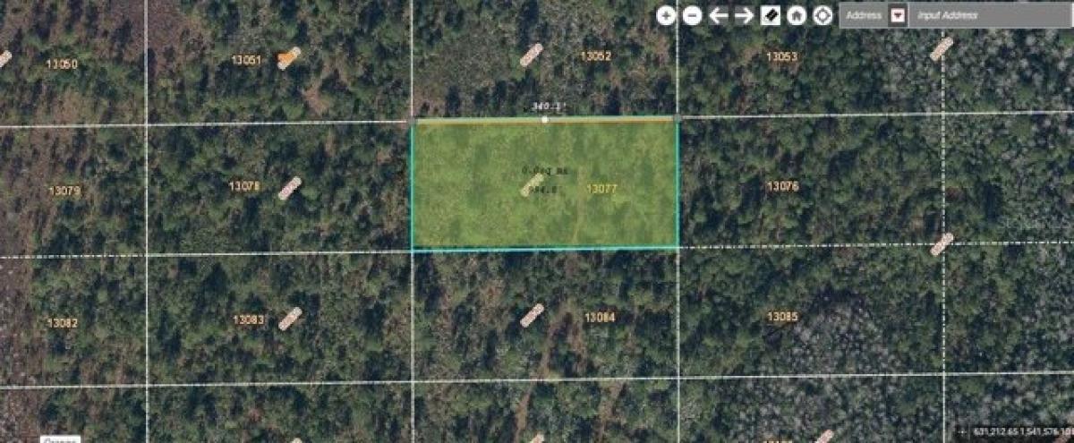 Picture of Residential Land For Sale in Orlando, Florida, United States