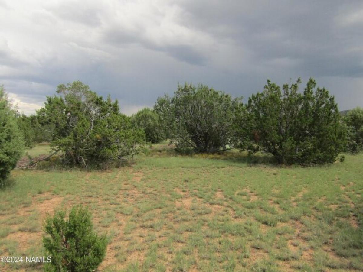 Picture of Residential Land For Sale in Williams, Arizona, United States