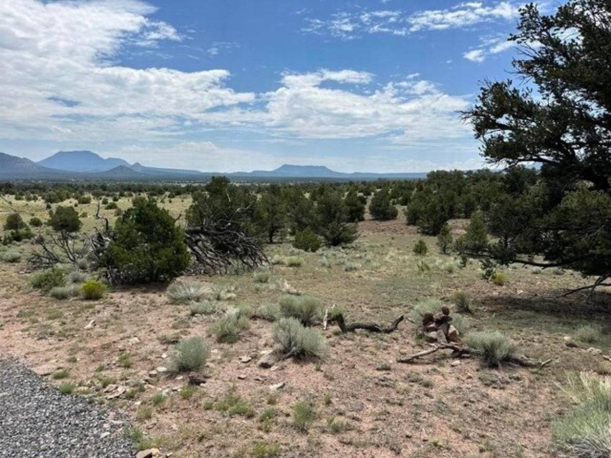 Picture of Residential Land For Sale in Quemado, New Mexico, United States