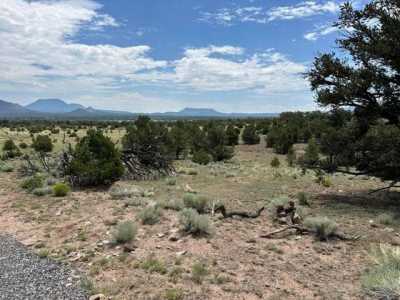 Residential Land For Sale in Quemado, New Mexico