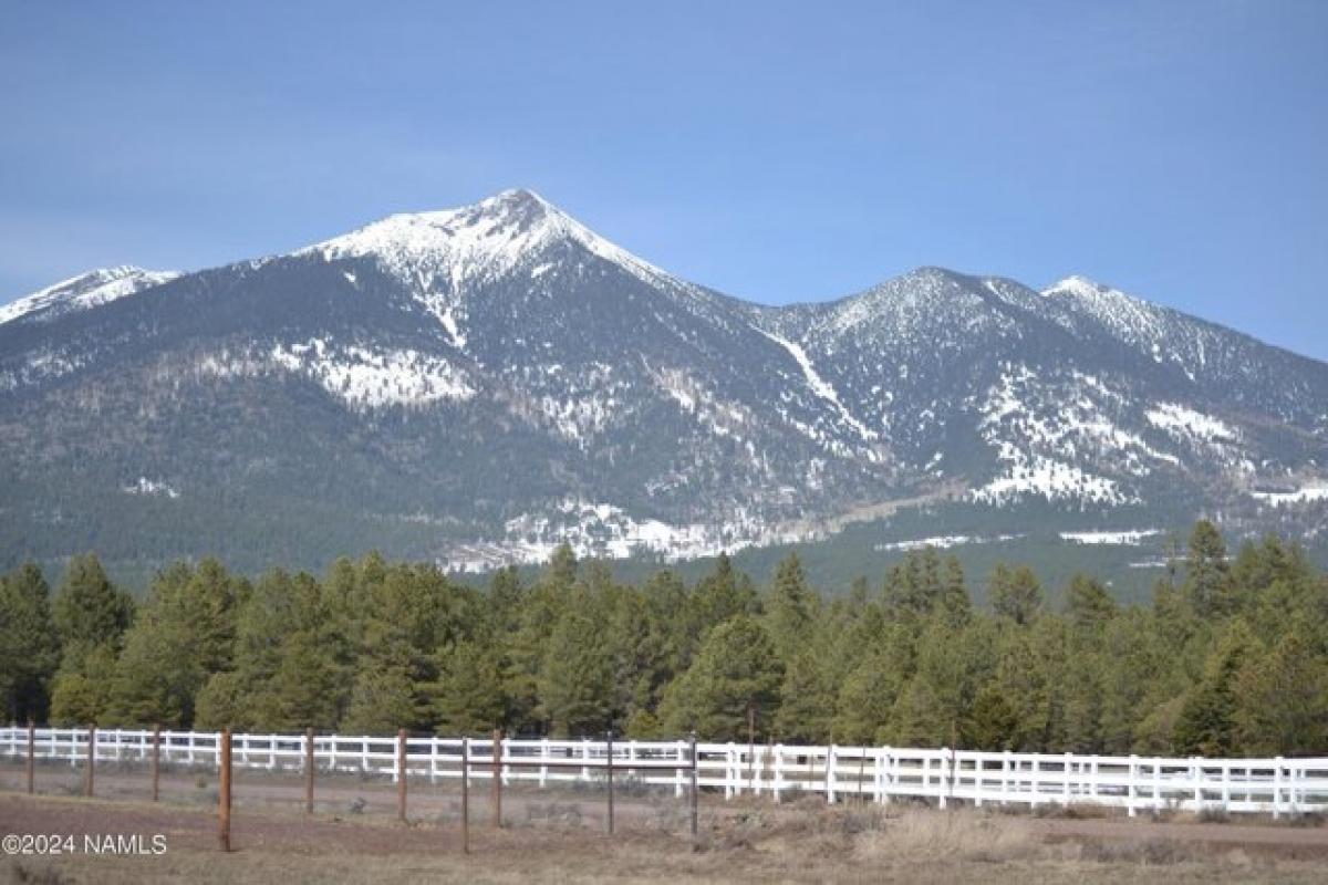 Picture of Residential Land For Sale in Flagstaff, Arizona, United States