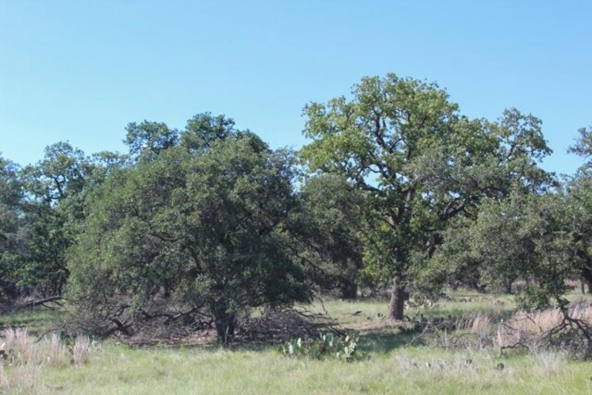 Picture of Residential Land For Sale in Harper, Texas, United States