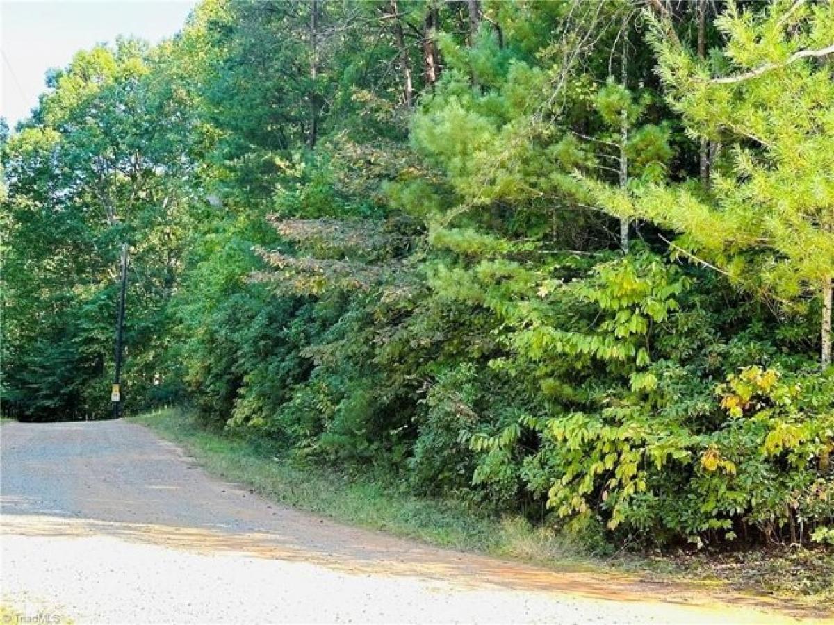 Picture of Residential Land For Sale in Boomer, North Carolina, United States