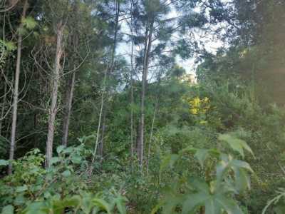 Residential Land For Sale in 