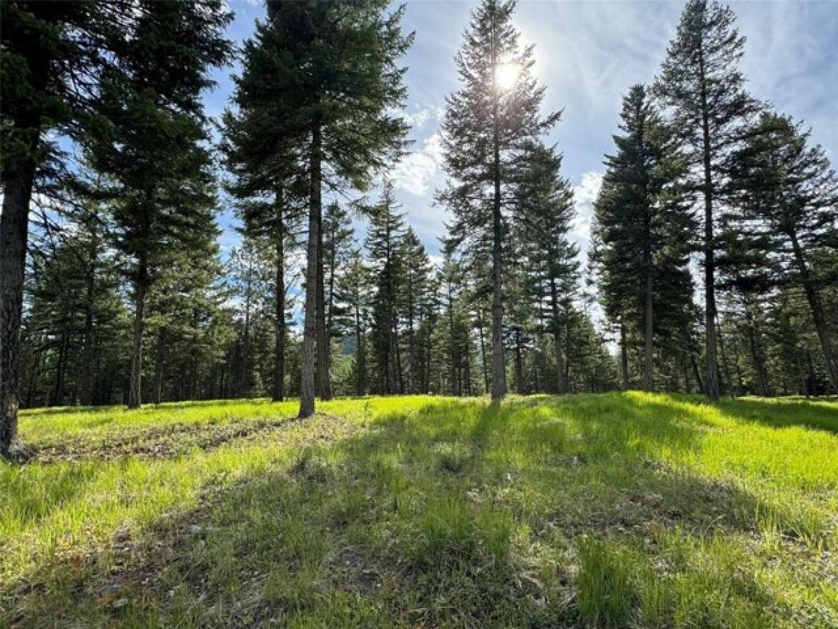 Picture of Residential Land For Sale in Kalispell, Montana, United States