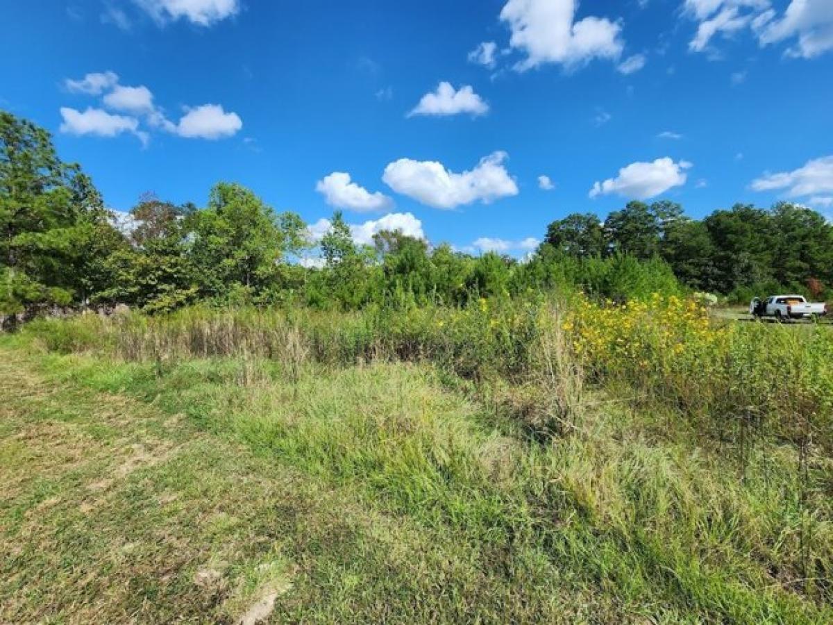 Picture of Residential Land For Sale in Cleveland, Texas, United States