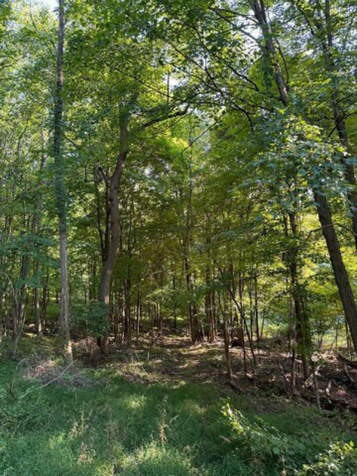 Picture of Residential Land For Sale in Armagh, Pennsylvania, United States