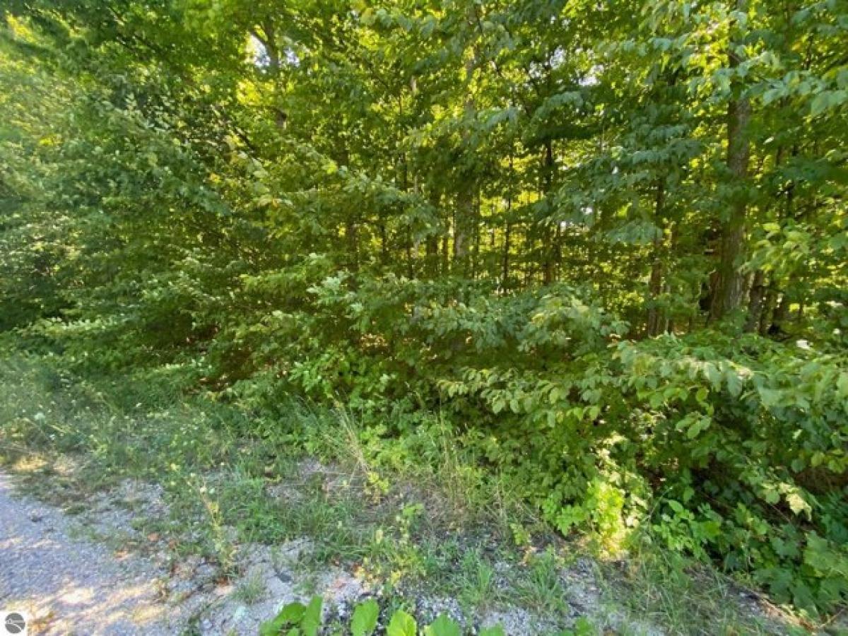 Picture of Residential Land For Sale in Cedar, Michigan, United States