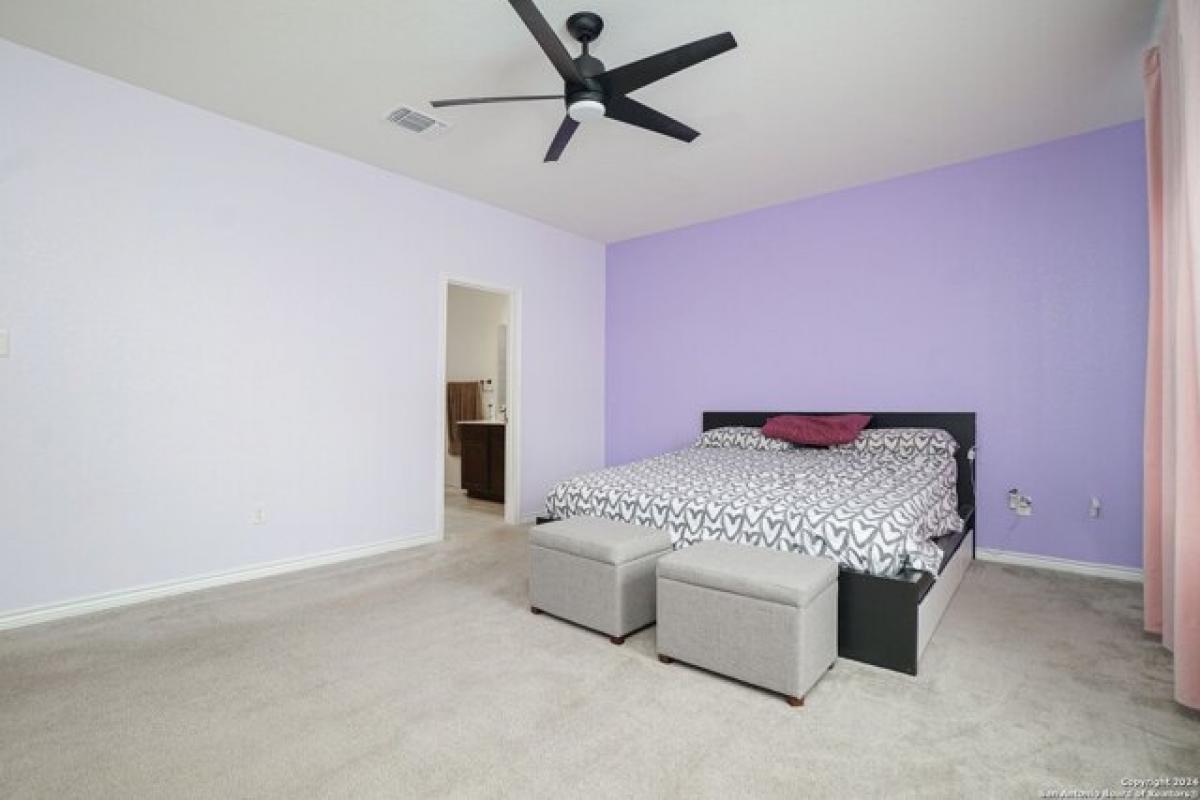 Picture of Home For Rent in Universal City, Texas, United States