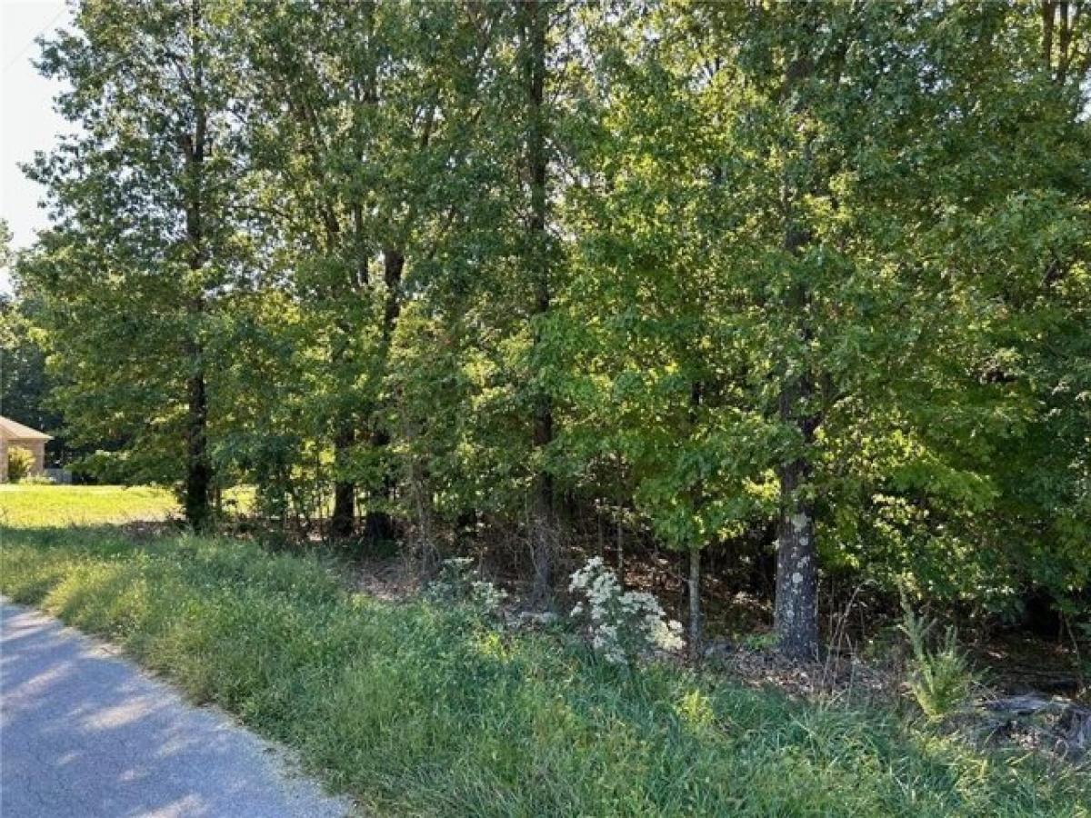 Picture of Residential Land For Sale in Bella Vista, Arkansas, United States