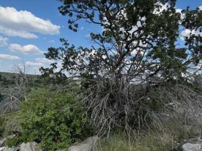 Residential Land For Sale in Ozona, Texas