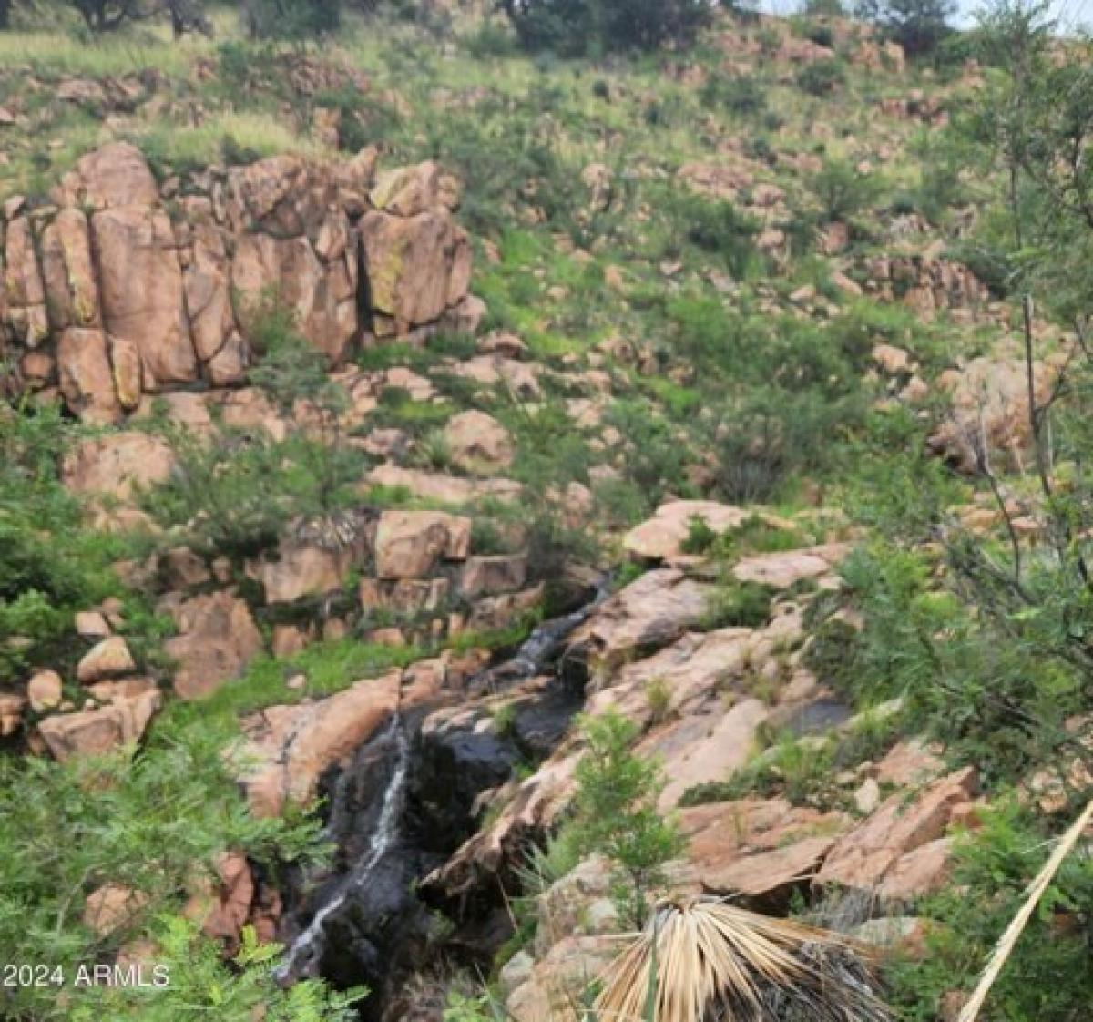 Picture of Residential Land For Sale in Bisbee, Arizona, United States