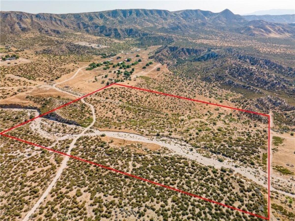 Picture of Residential Land For Sale in Phelan, California, United States