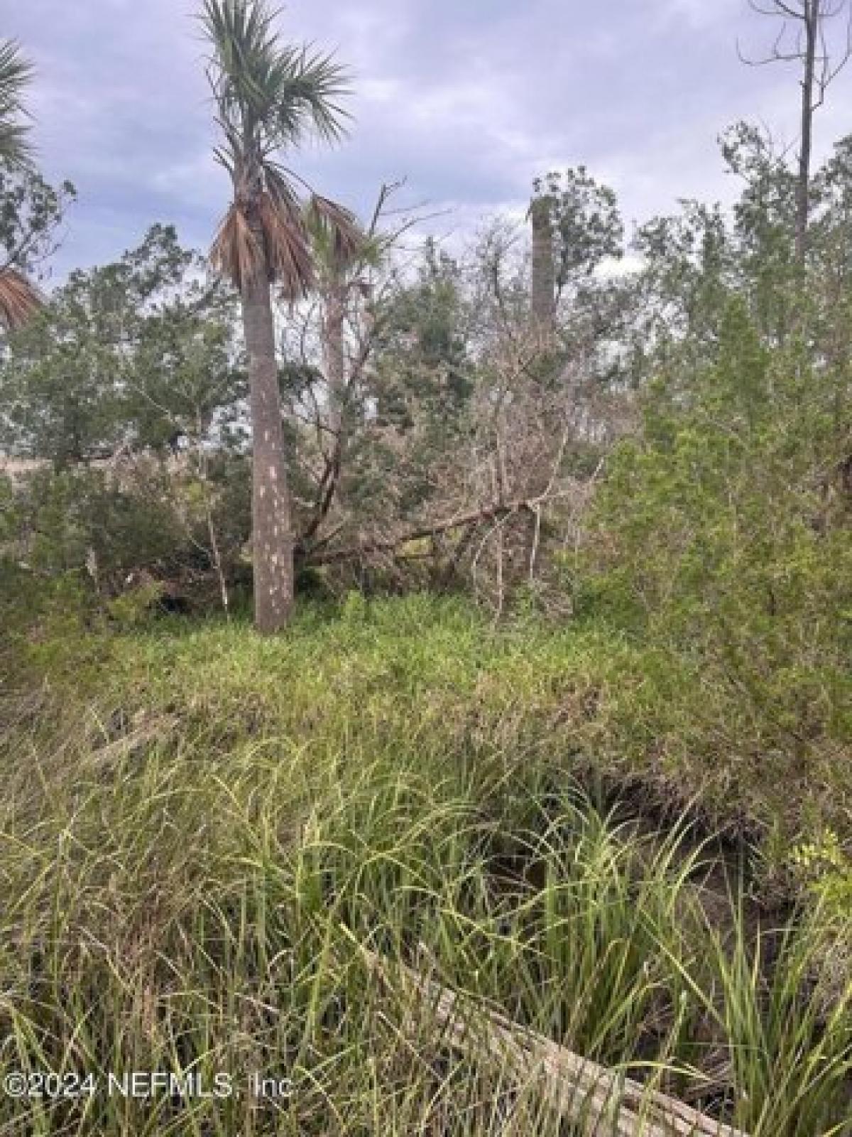 Picture of Residential Land For Sale in Jacksonville, Florida, United States