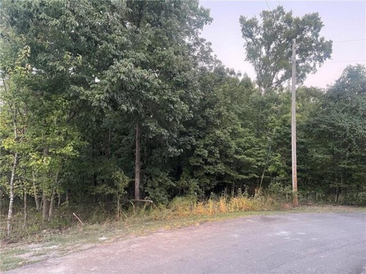 Picture of Residential Land For Sale in Bella Vista, Arkansas, United States