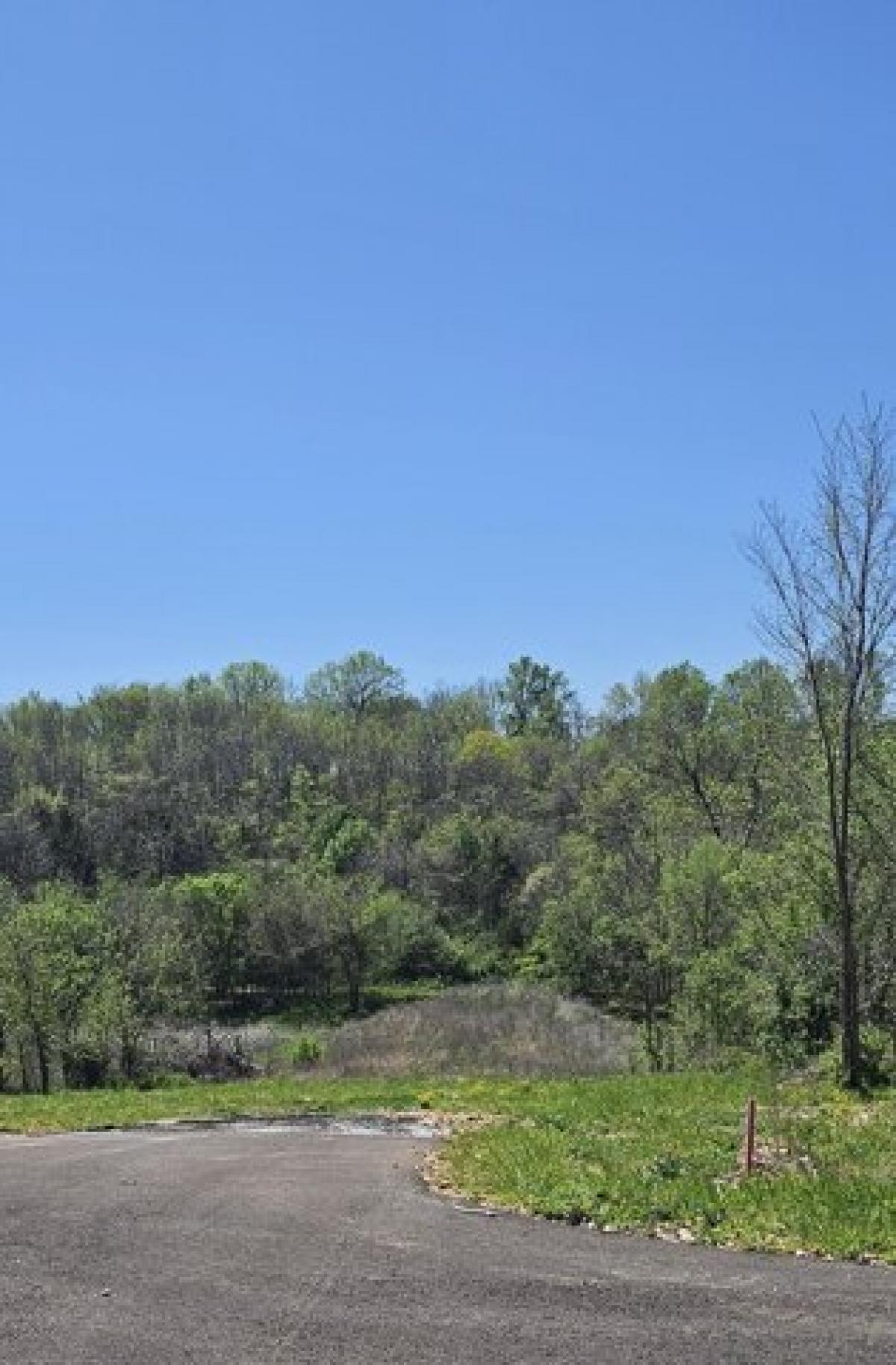 Picture of Residential Land For Sale in Clever, Missouri, United States