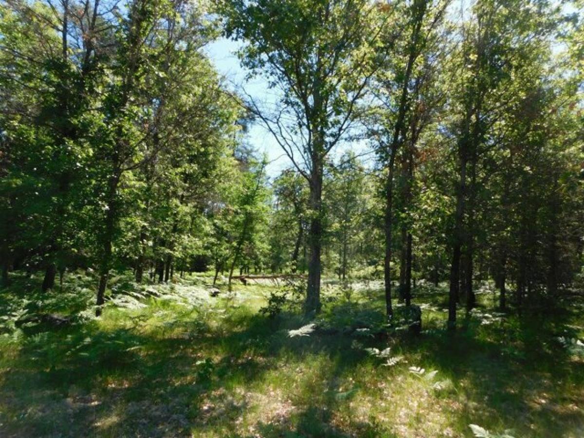 Picture of Residential Land For Sale in Grayling, Michigan, United States