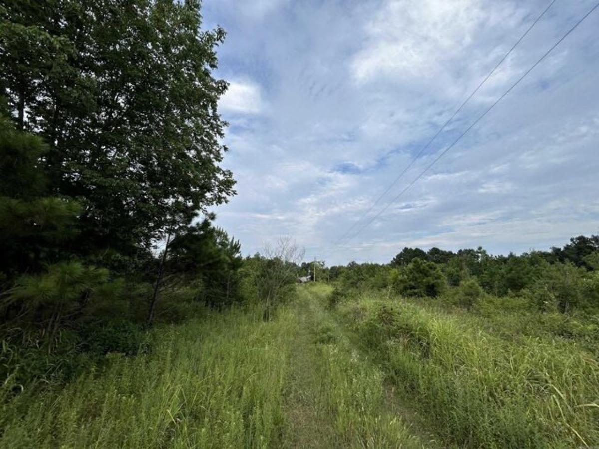 Picture of Residential Land For Sale in Colt, Arkansas, United States