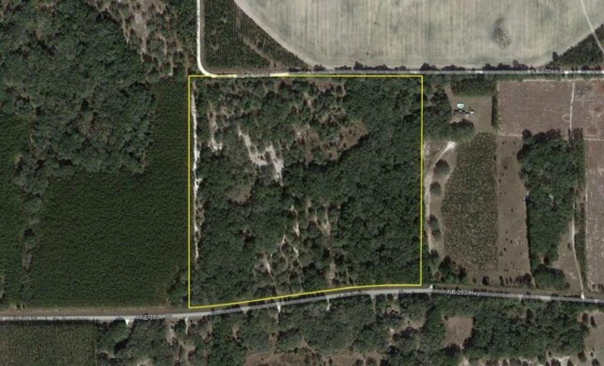 Picture of Residential Land For Sale in Old Town, Florida, United States