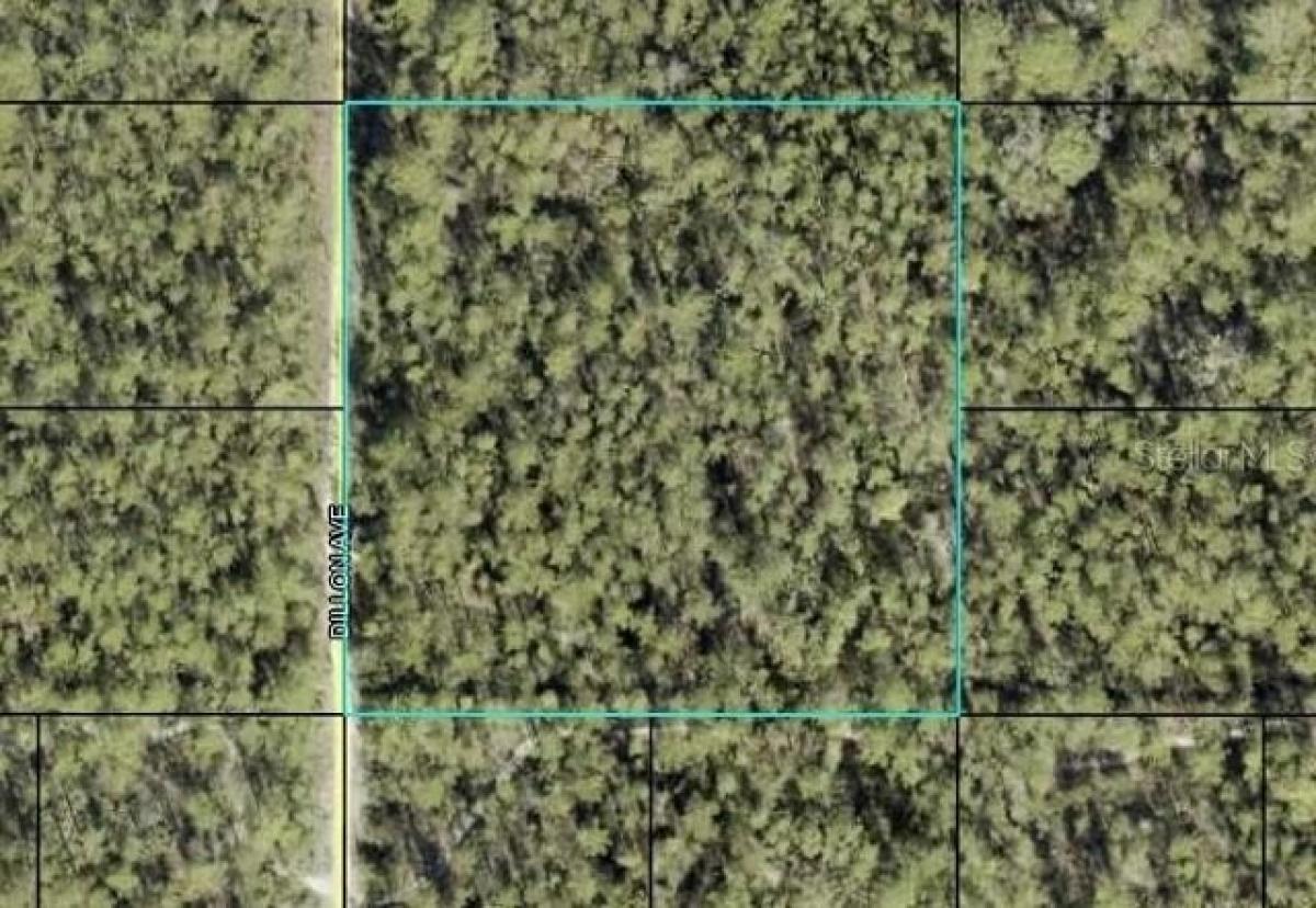 Picture of Residential Land For Sale in Hastings, Florida, United States