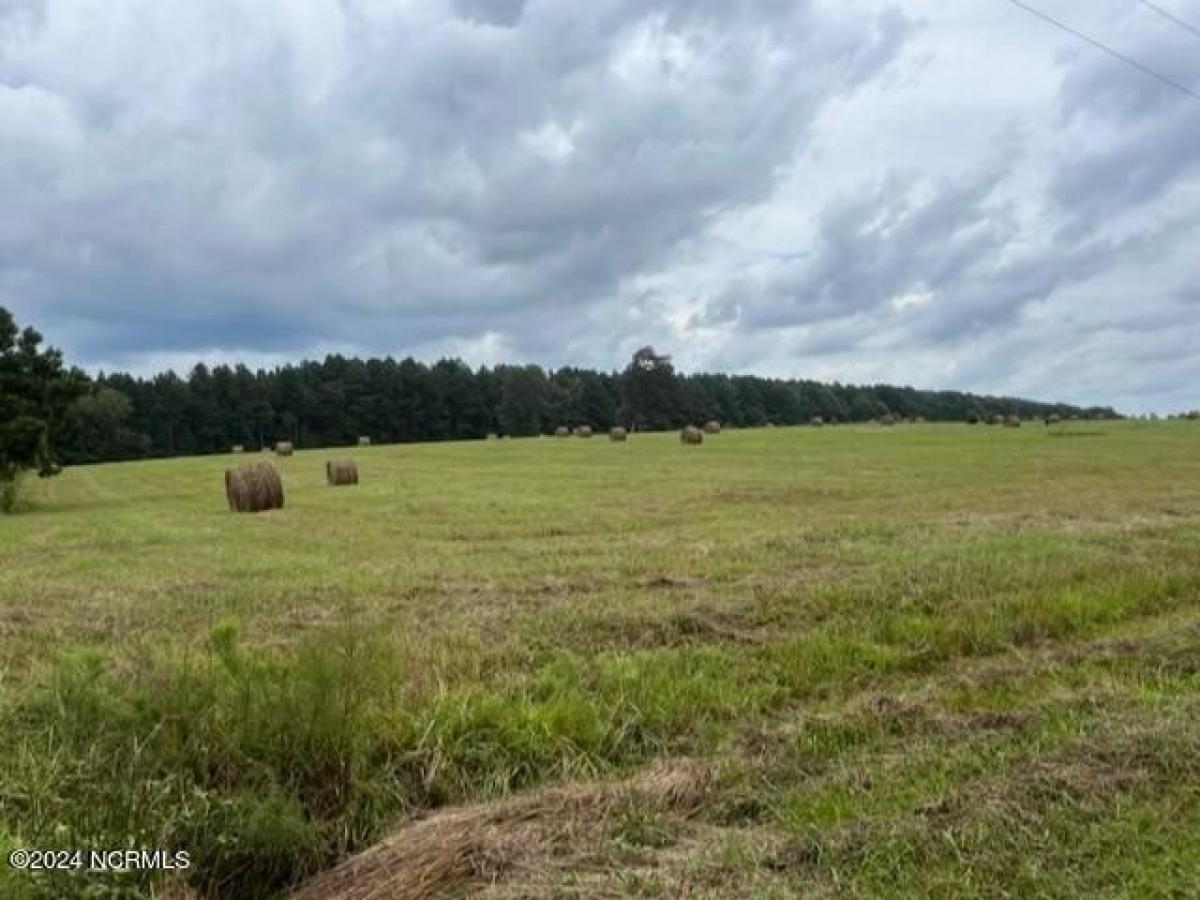 Picture of Residential Land For Sale in Castalia, North Carolina, United States