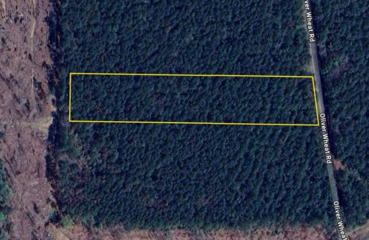 Picture of Residential Land For Sale in Livingston, Louisiana, United States