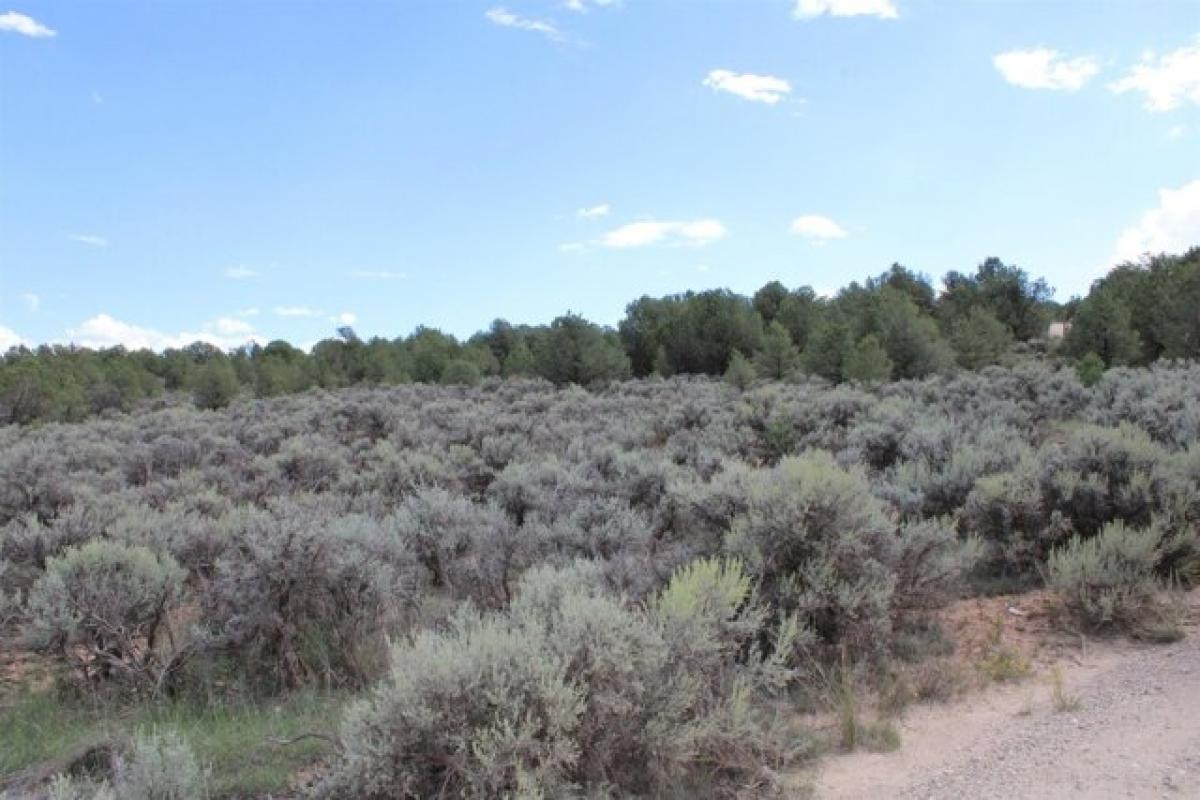 Picture of Residential Land For Sale in Arroyo Hondo, New Mexico, United States