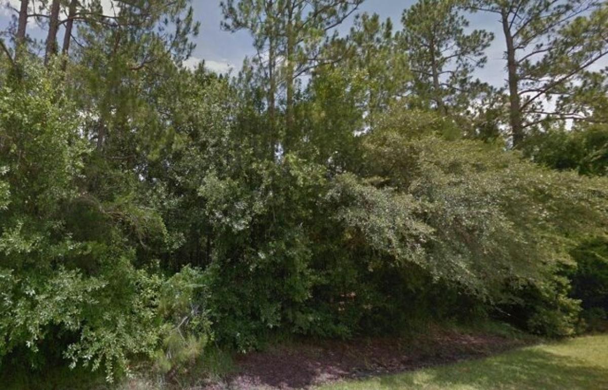 Picture of Residential Land For Sale in Bunnell, Florida, United States