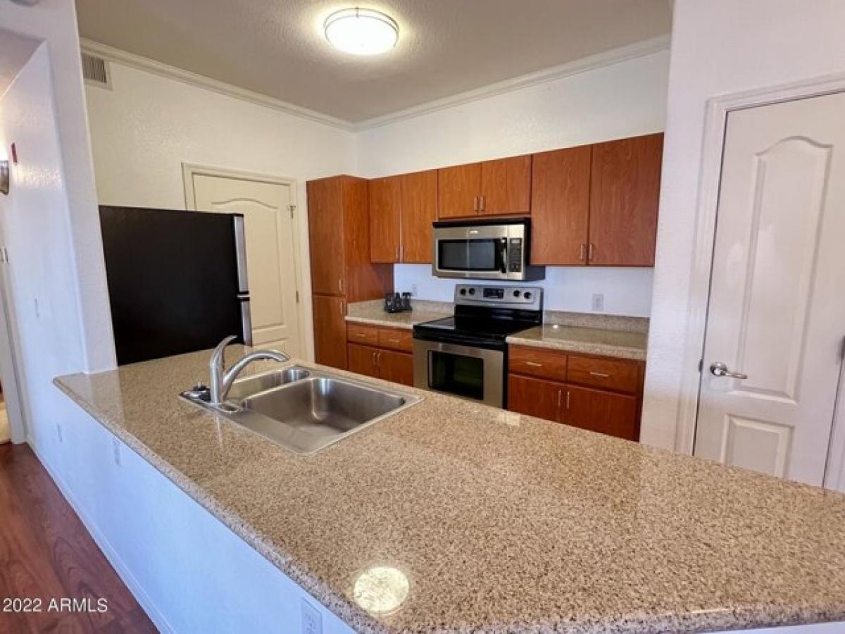 Picture of Apartment For Rent in Phoenix, Arizona, United States