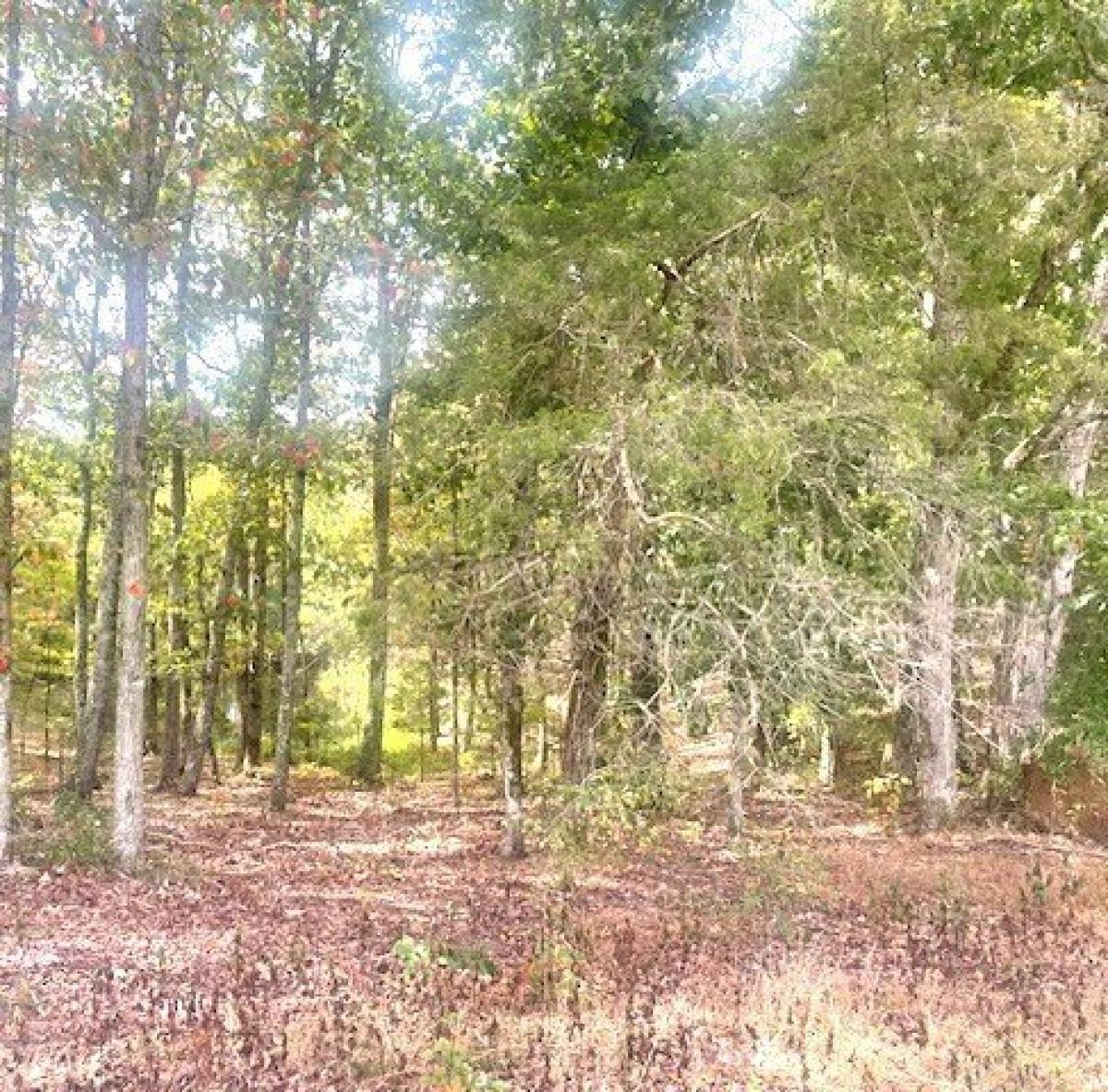 Picture of Residential Land For Sale in Waverly, Tennessee, United States