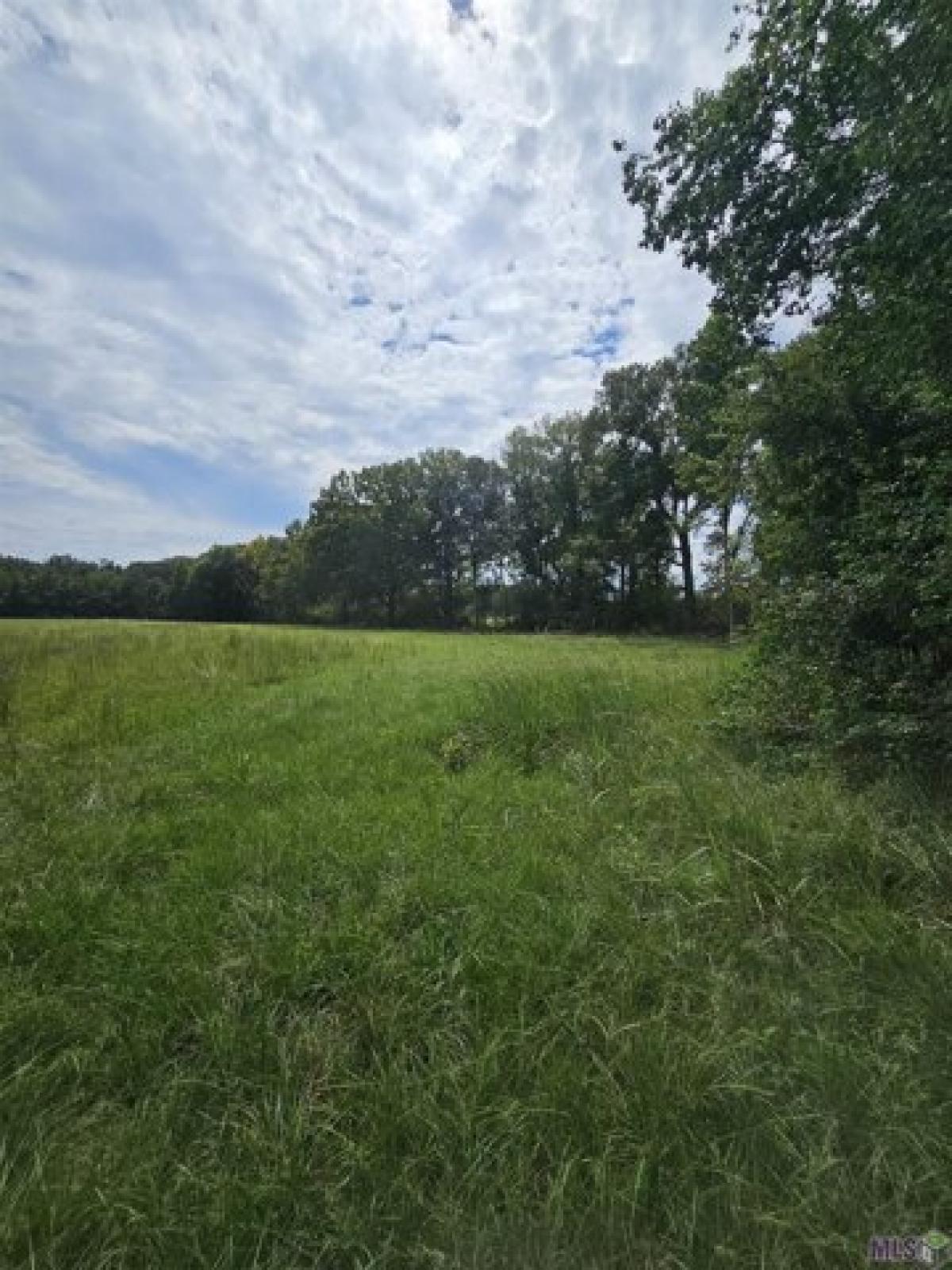 Picture of Residential Land For Sale in Baker, Louisiana, United States