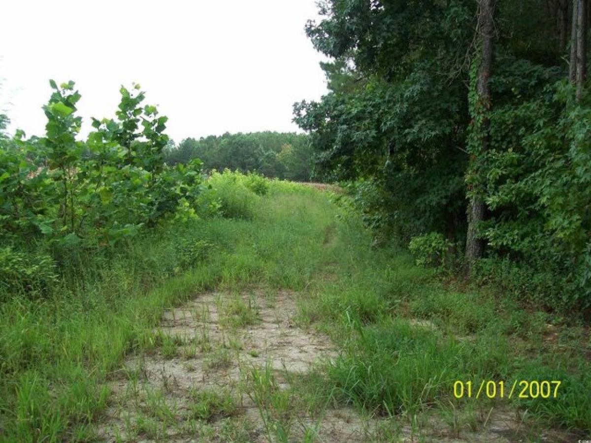 Picture of Residential Land For Sale in Loris, South Carolina, United States