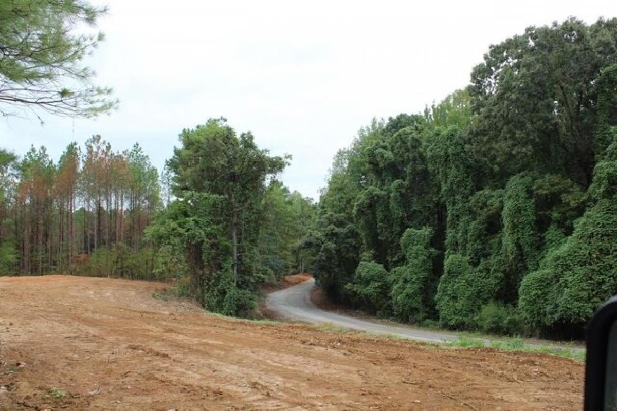 Picture of Residential Land For Sale in Pontotoc, Mississippi, United States