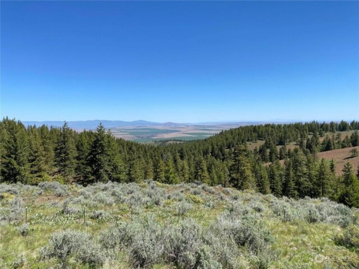 Picture of Residential Land For Sale in East Wenatchee, Washington, United States