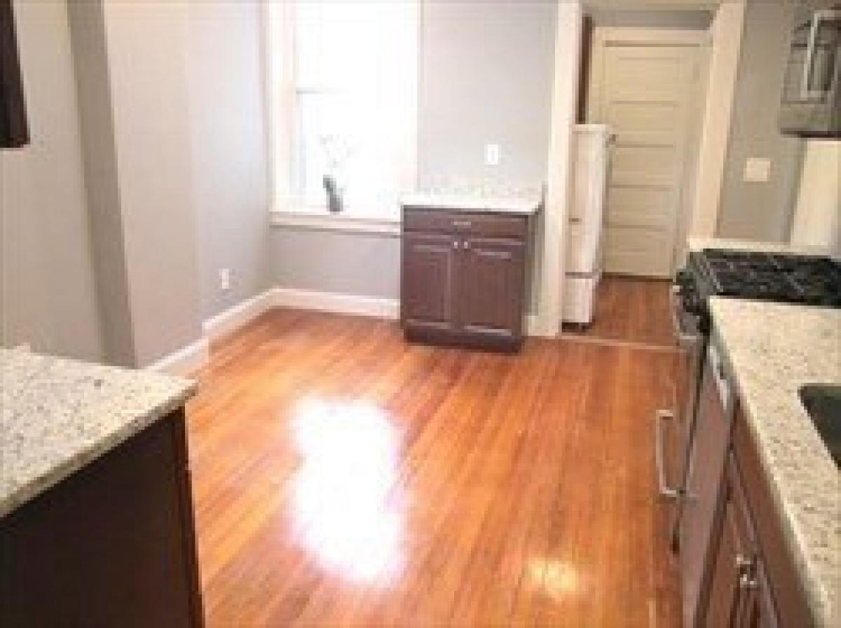 Picture of Apartment For Rent in Brookline, Massachusetts, United States