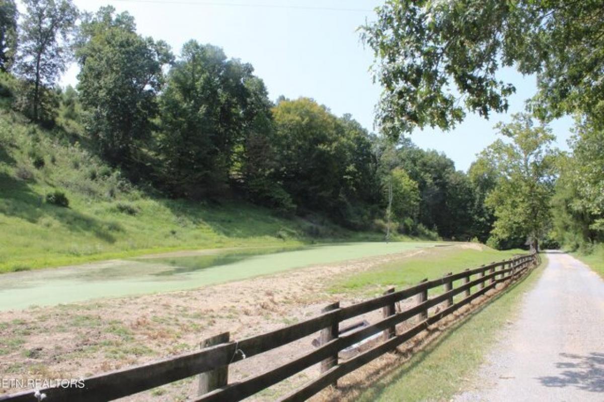 Picture of Home For Sale in Speedwell, Tennessee, United States