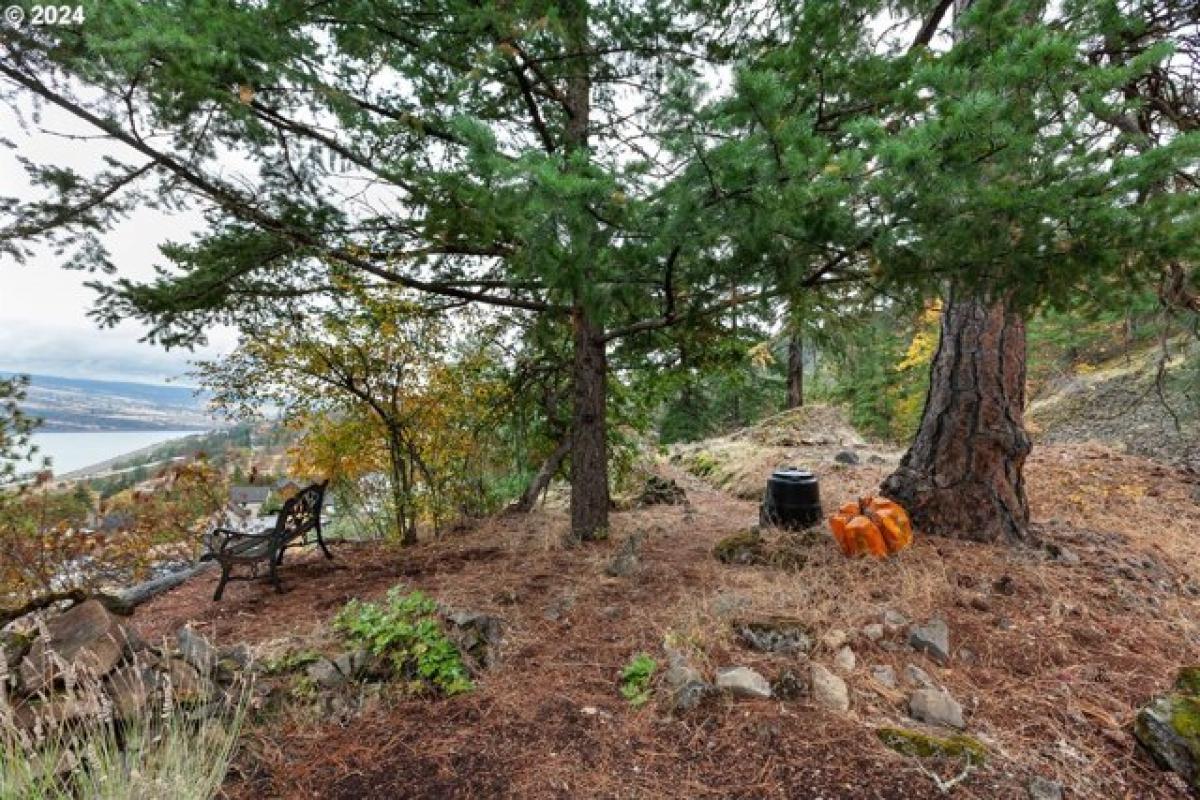 Picture of Residential Land For Sale in Mosier, Oregon, United States