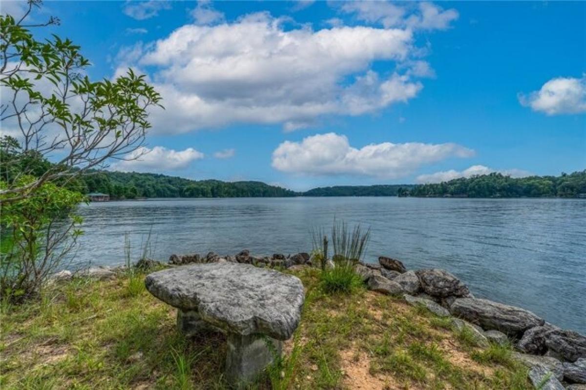 Picture of Residential Land For Sale in Sunset, South Carolina, United States