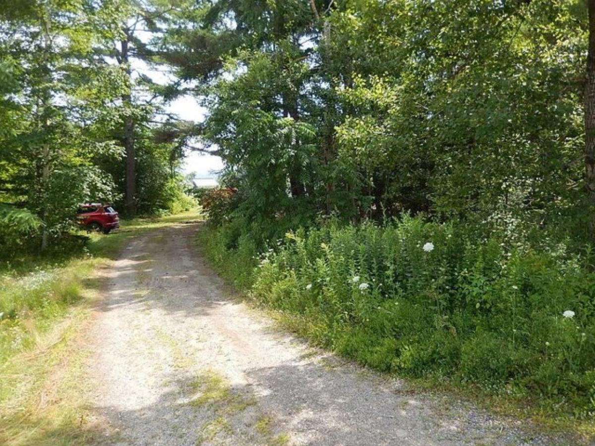 Picture of Home For Sale in Belfast, Maine, United States