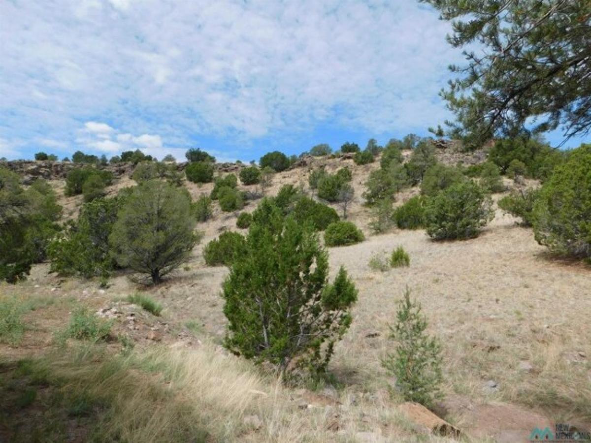 Picture of Residential Land For Sale in Quemado, New Mexico, United States