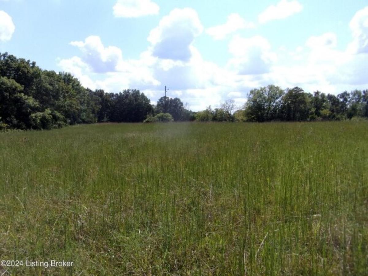 Picture of Residential Land For Sale in Bardstown, Kentucky, United States