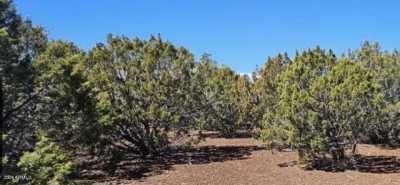 Residential Land For Sale in Vernon, Arizona