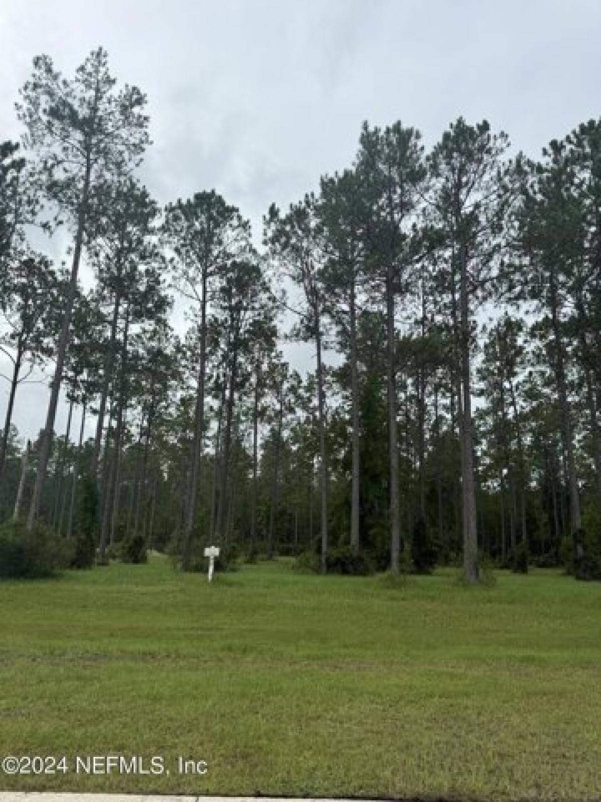 Picture of Residential Land For Sale in Jacksonville, Florida, United States