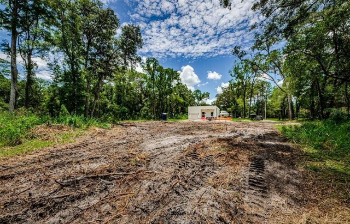 Picture of Residential Land For Sale in Tampa, Florida, United States