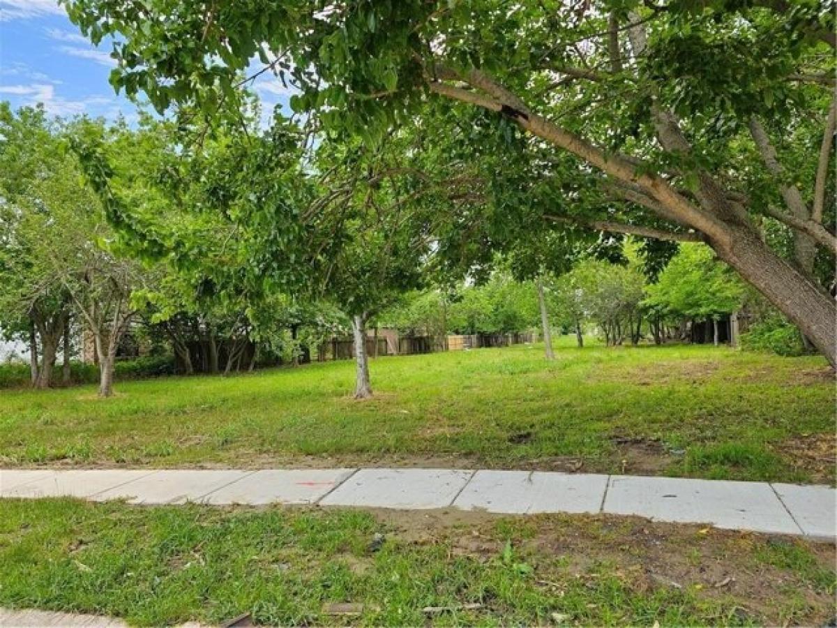 Picture of Residential Land For Sale in New Orleans, Louisiana, United States