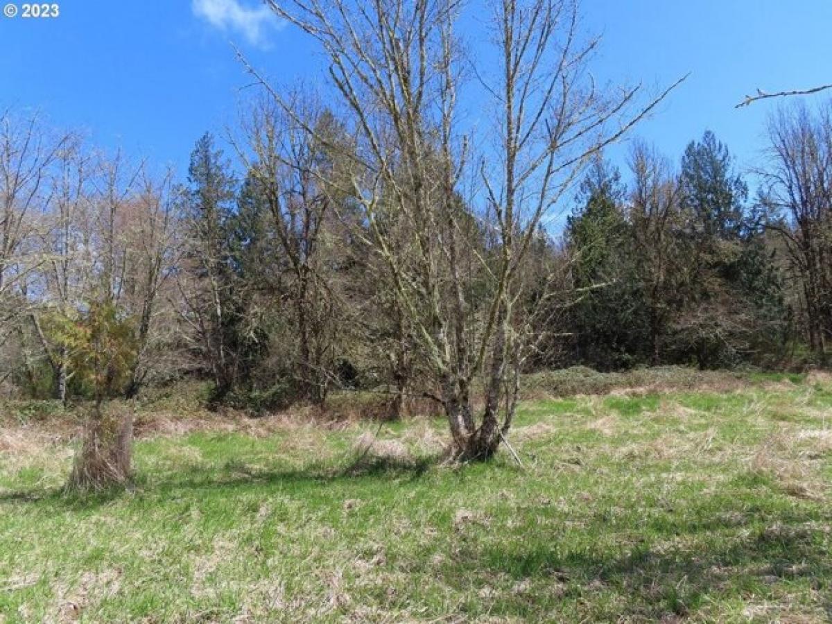 Picture of Residential Land For Sale in Morton, Washington, United States